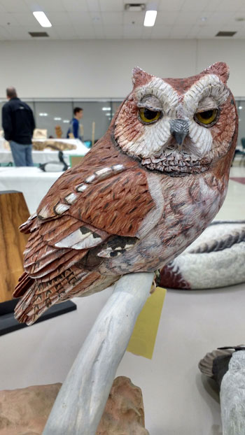 GVWC Owl Carving