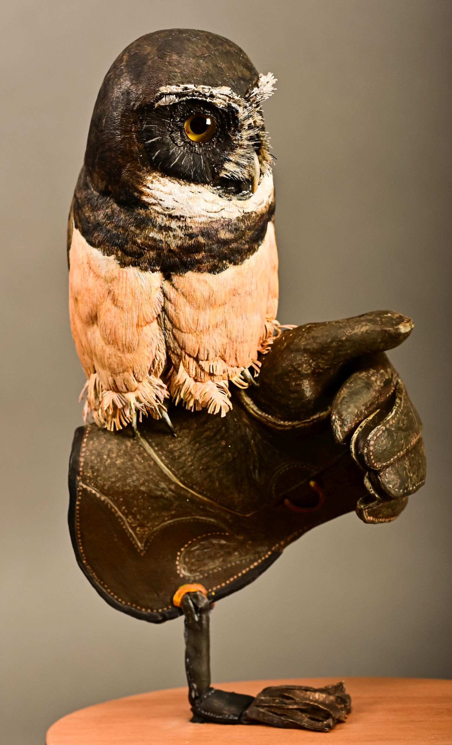 Intermediate Class - Wendy Hatch - Spectacled Owl
