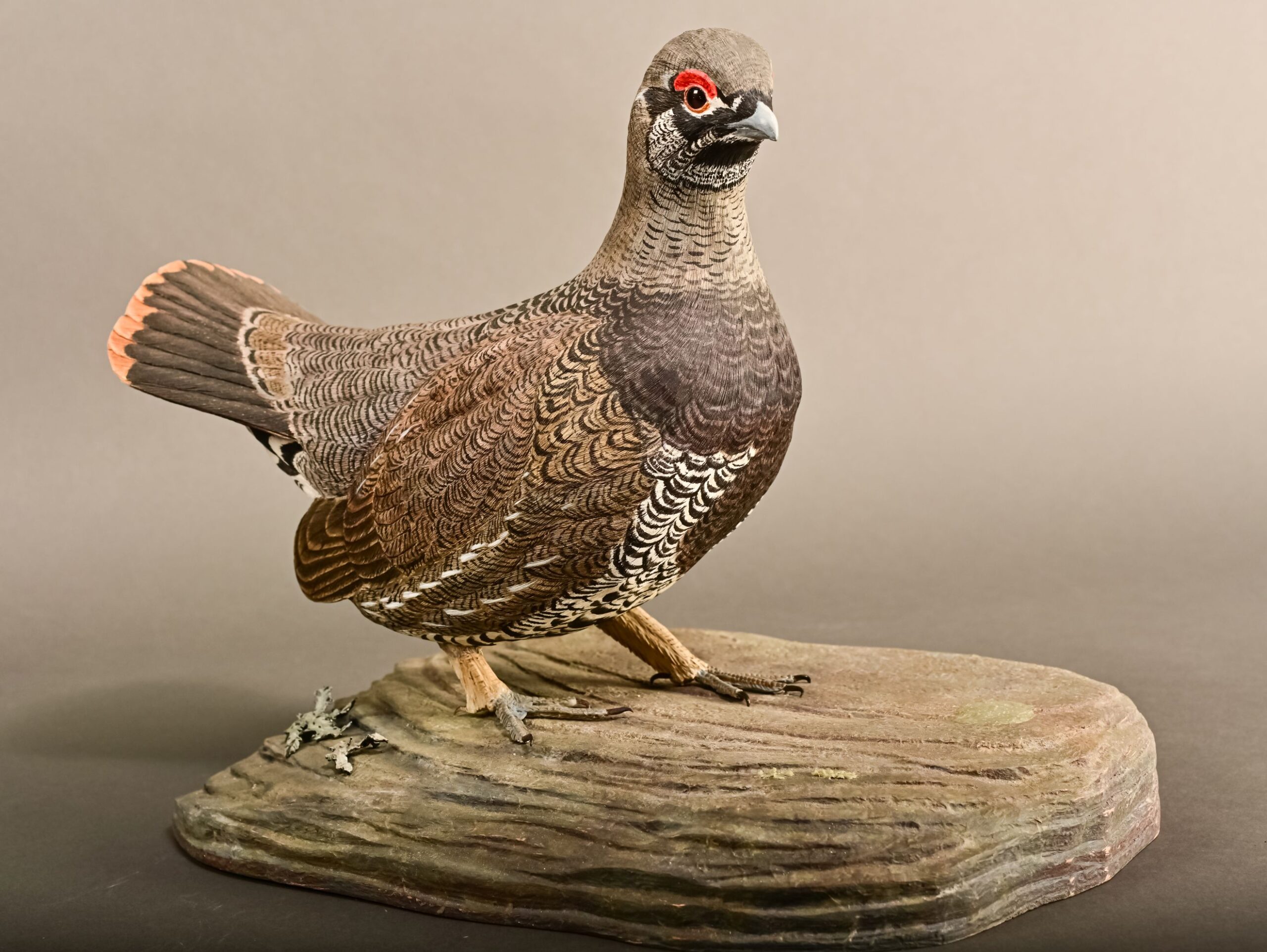 Canadian Master Class - Winston Smith - Spruce Grouse