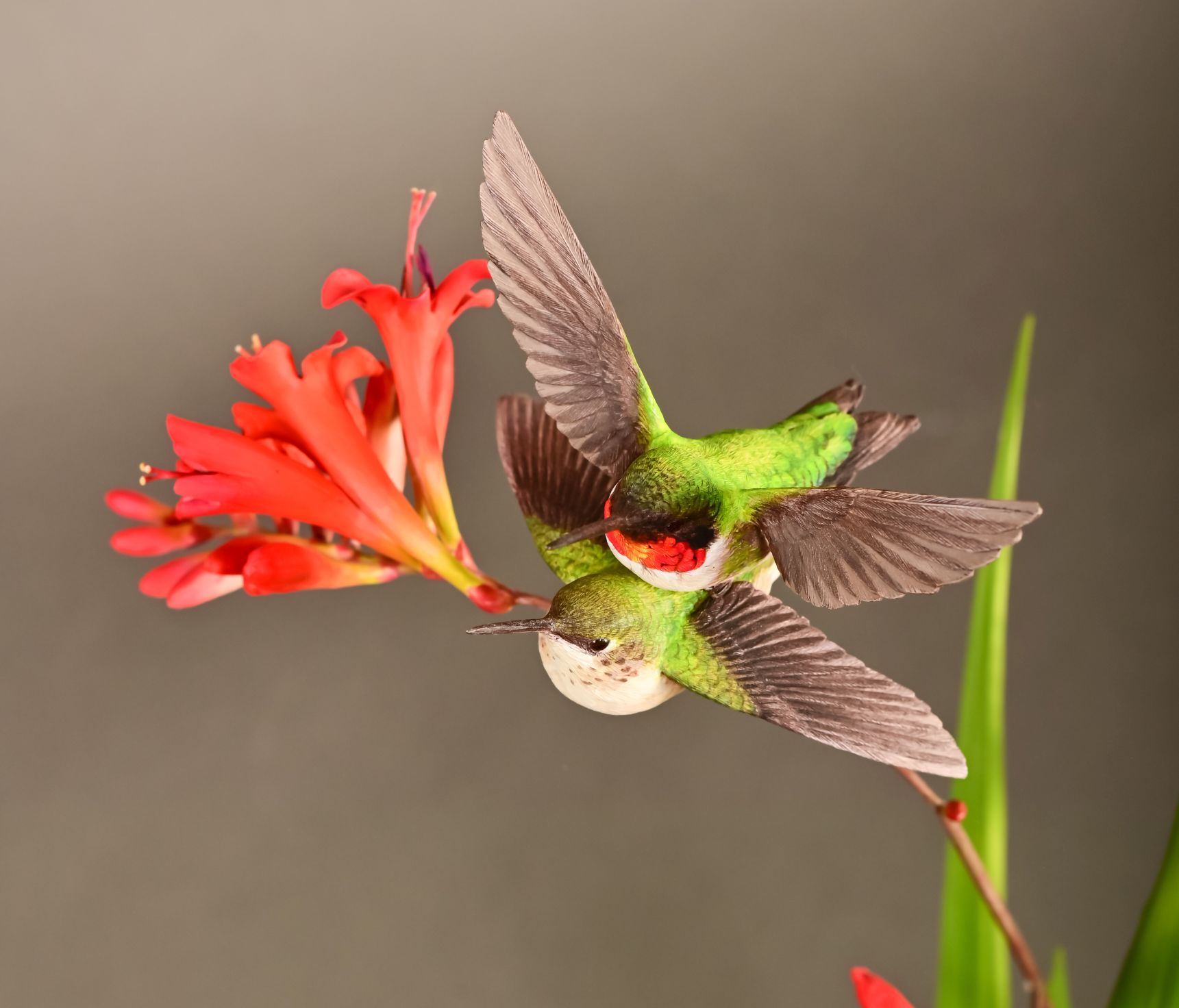 Ontario Die Company Award - Bruce Lepper - Pair - Ruby Throated Hummingbird