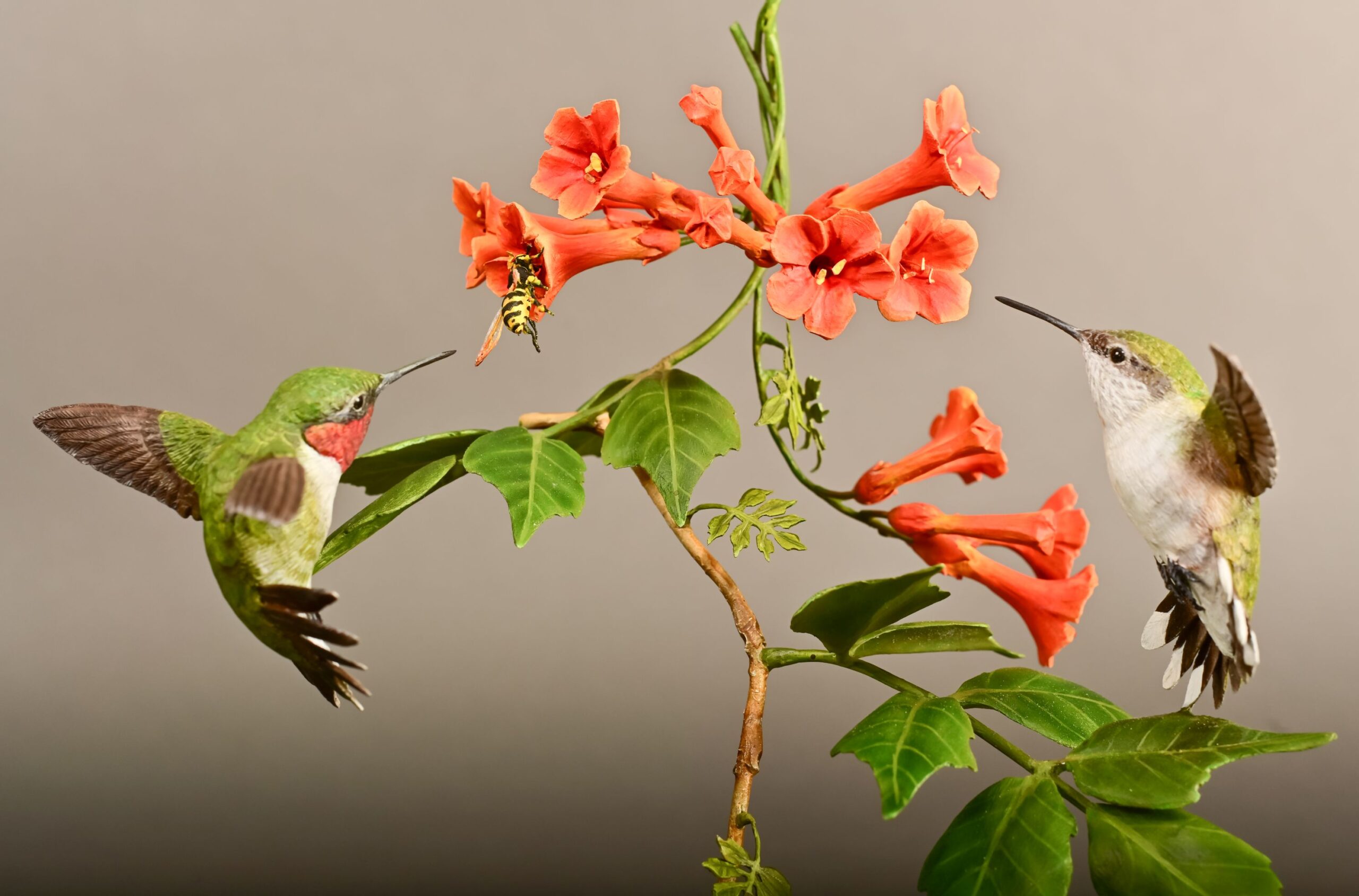 Ontario Die Company Award - Jim Edsall - Pair - Ruby Throated Hummingbird