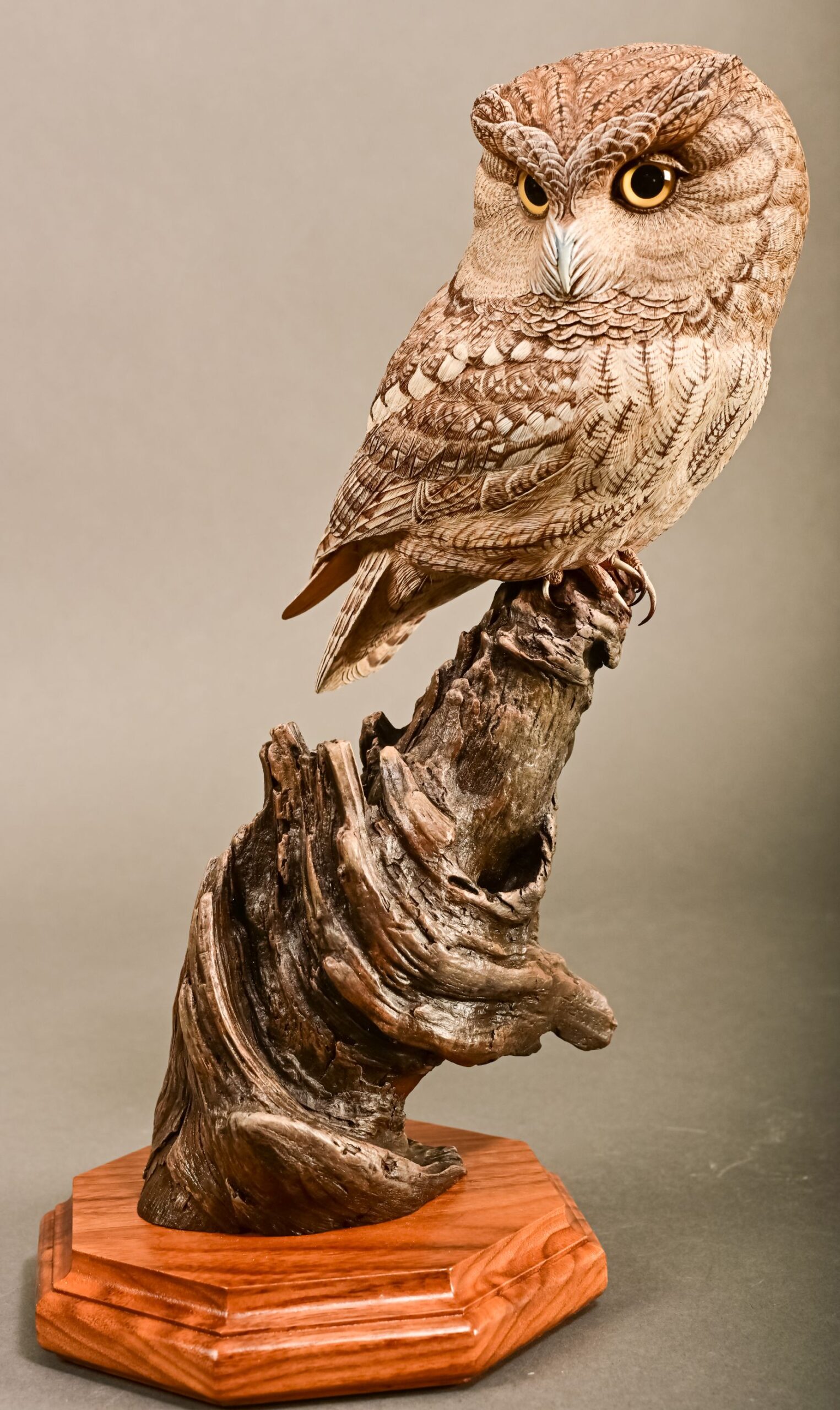 Canadian Master Class - Hal McGray - Screech Owl