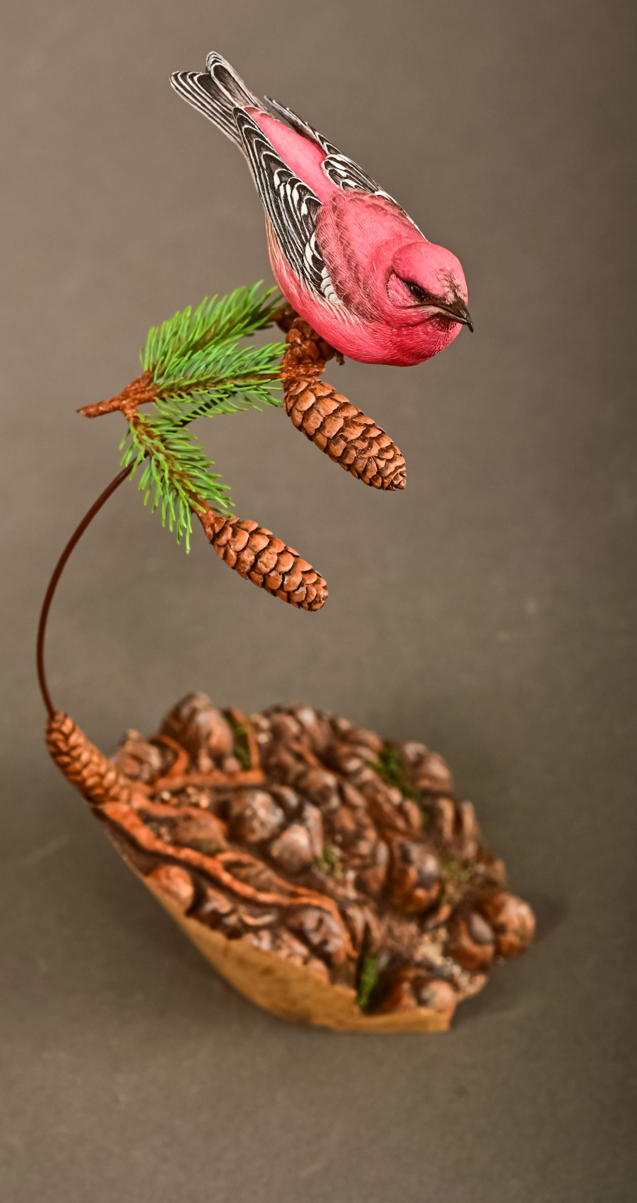 Best of Show - Hal McGray - White-winged Crossbill