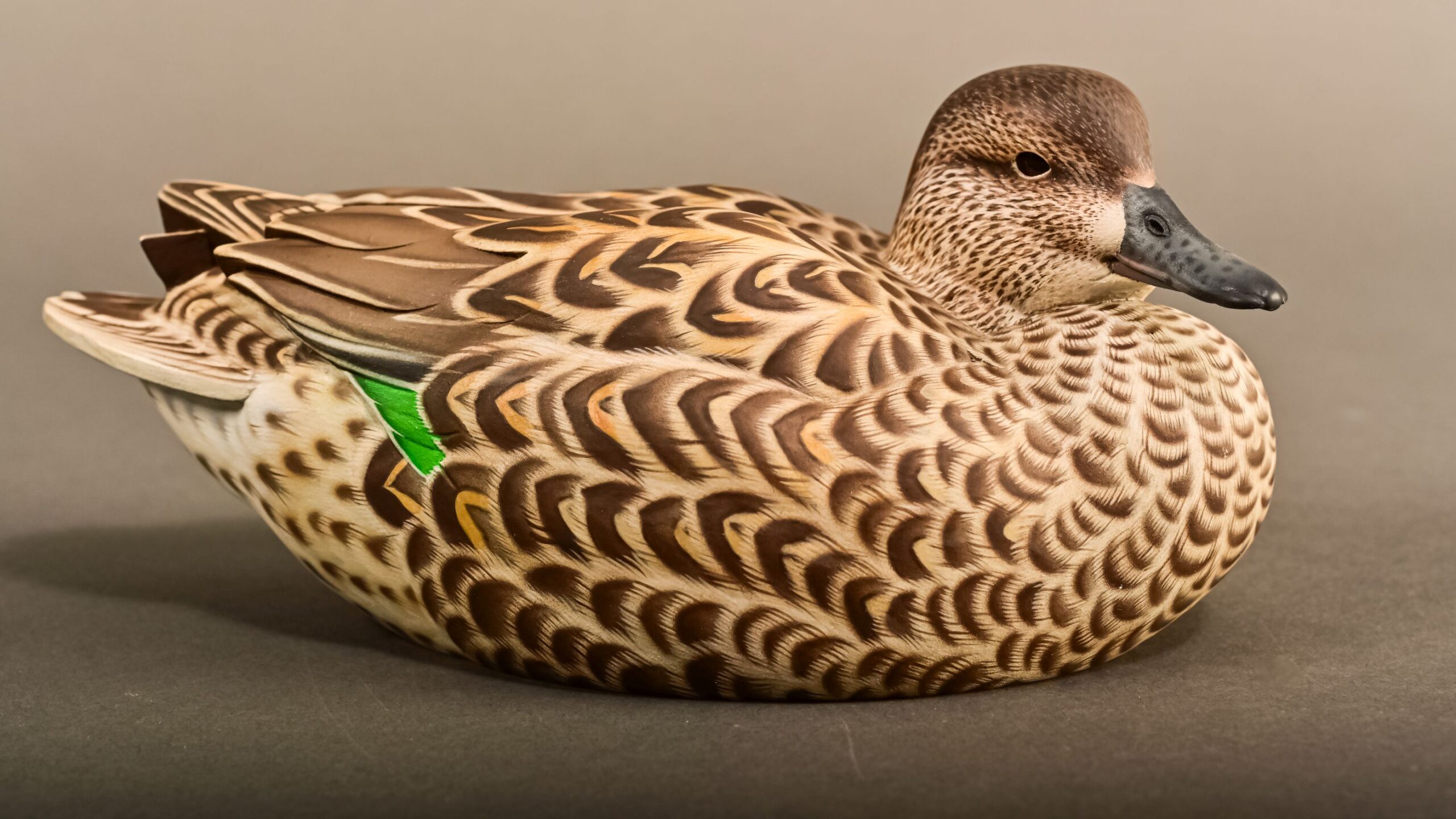 Shooters Choice - Brian Swain - Green Wing Teal Hen